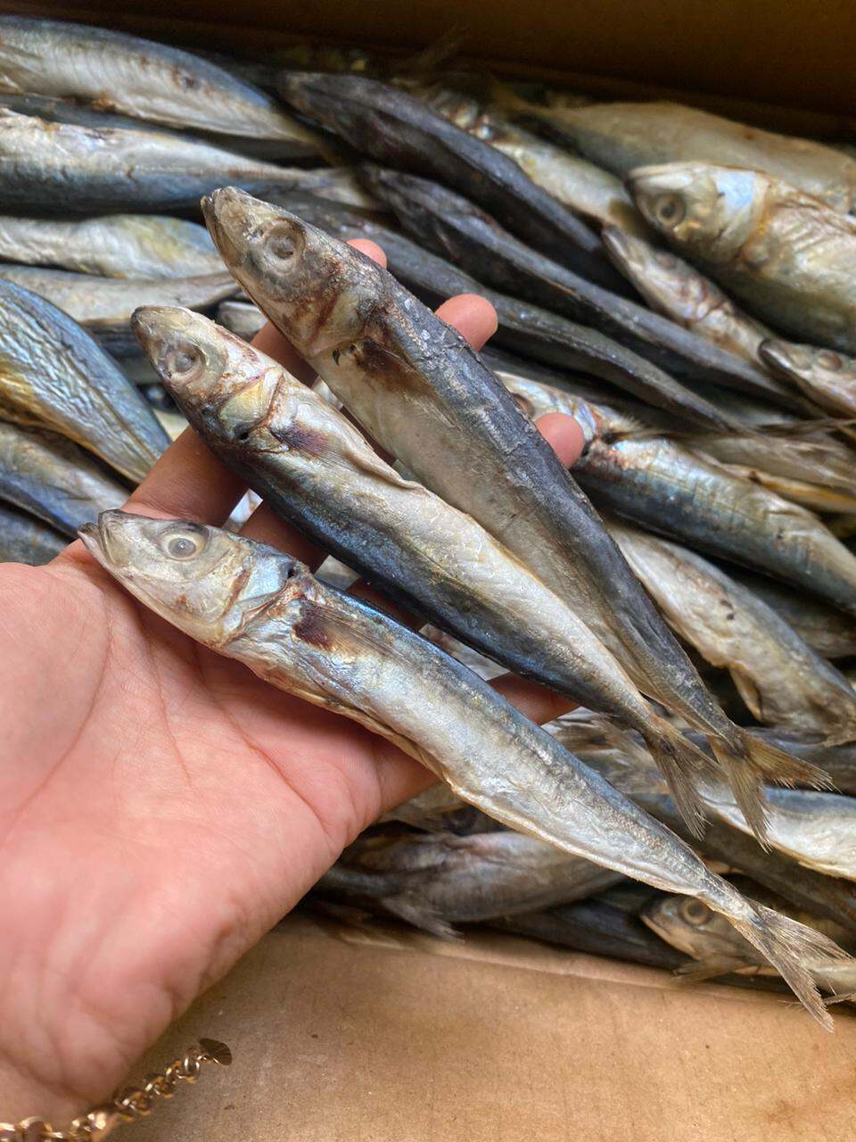 Ikan Asin Tamban
