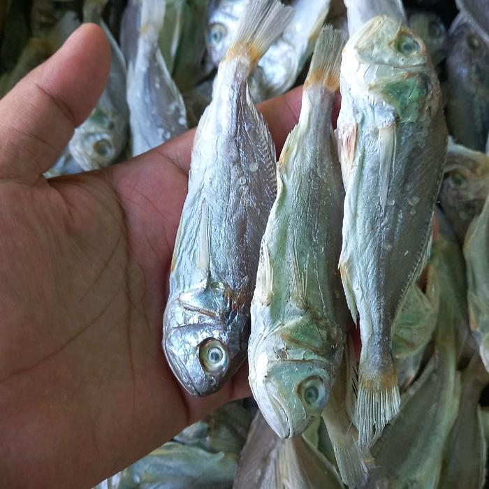 Gulamo Tawar
