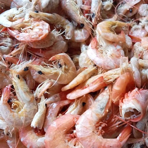 Udang Manis