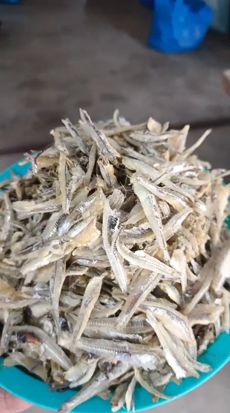 Teri Jengki Belah
